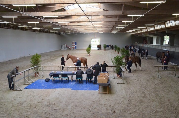 MANEGE-GOURMETTE-Small