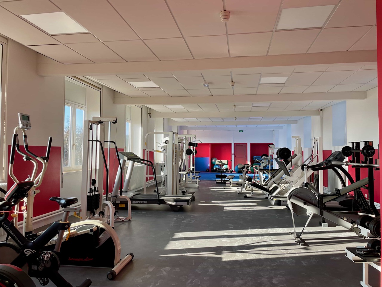 TREMPLIN-NATURE-SALLE-MUSCULATION-1