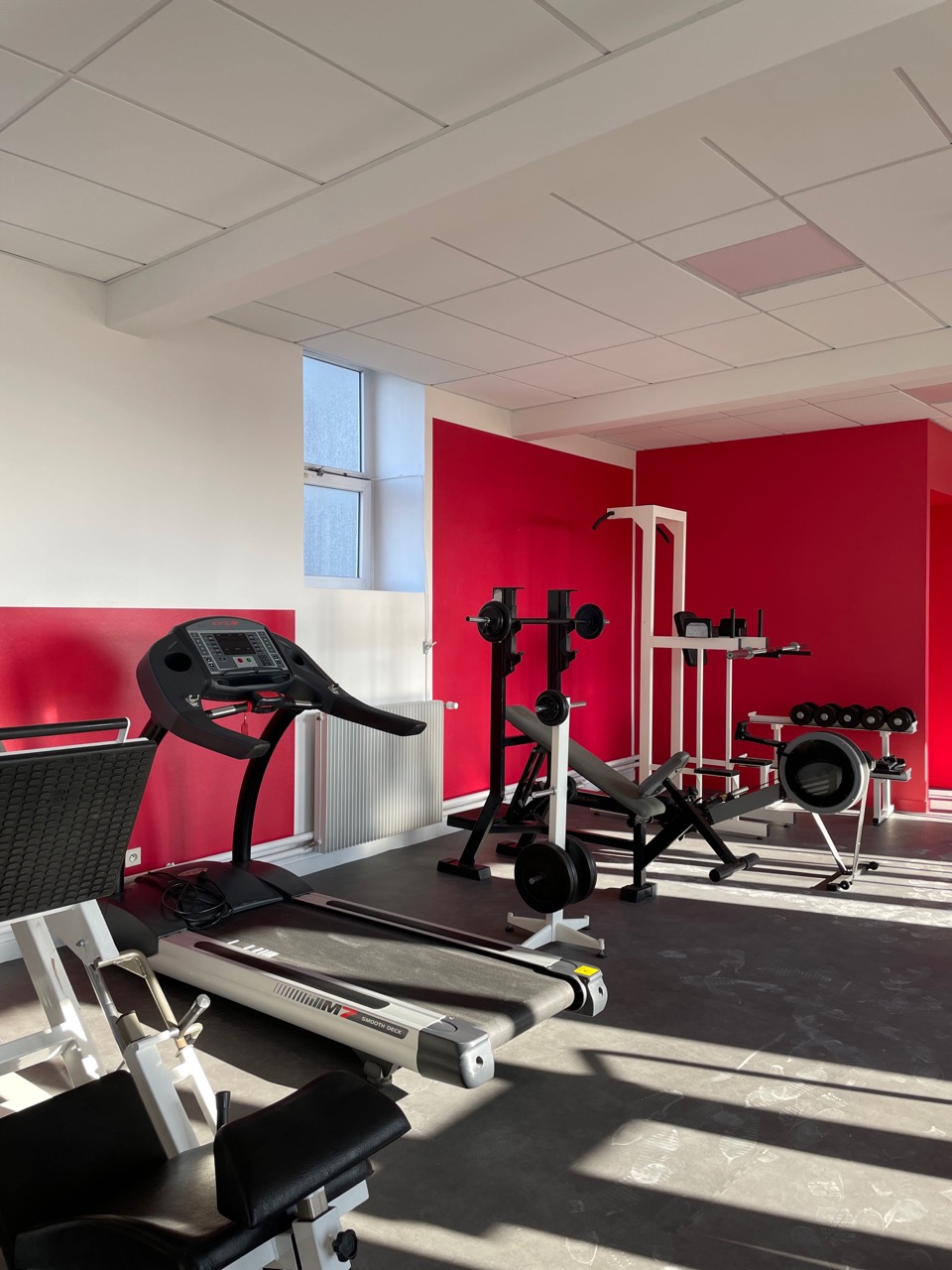 TREMPLIN-NATURE-SALLE-MUSCULATION-2