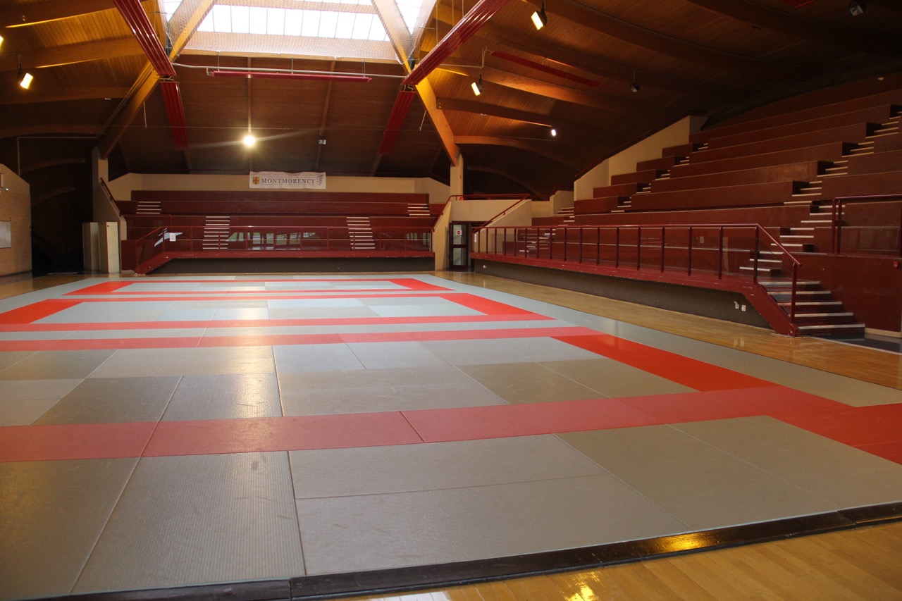 DOJO-INT-MCY