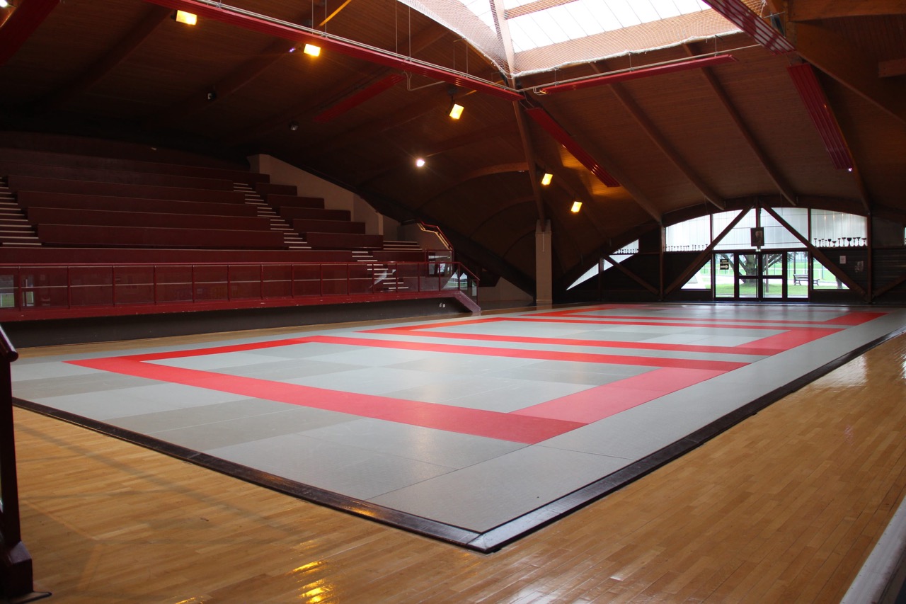 DOJO-MCY-1