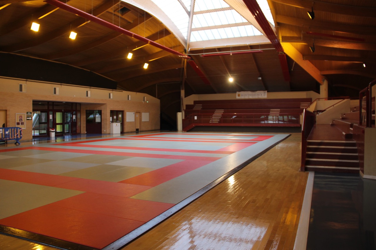 DOJO-MCY-4