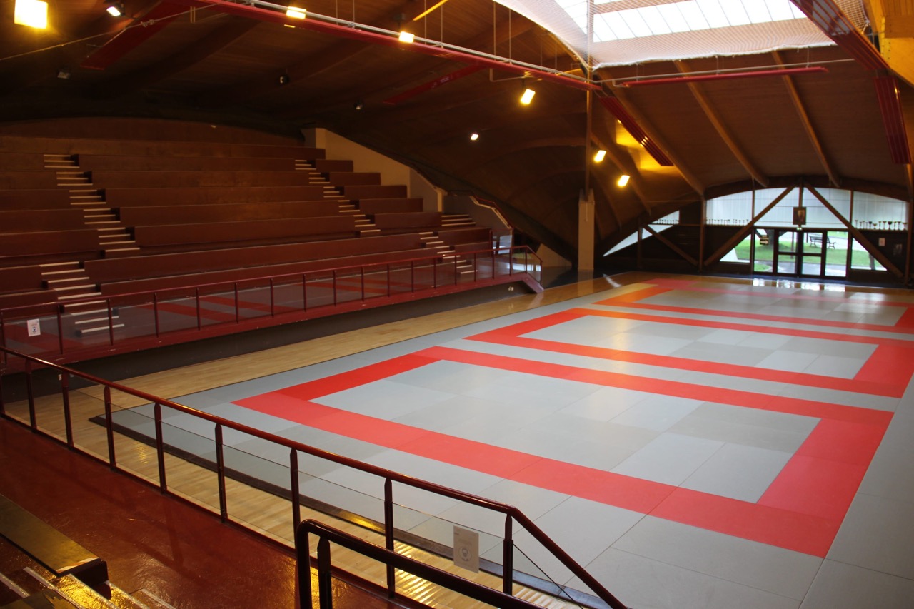 DOJO-MCY-7