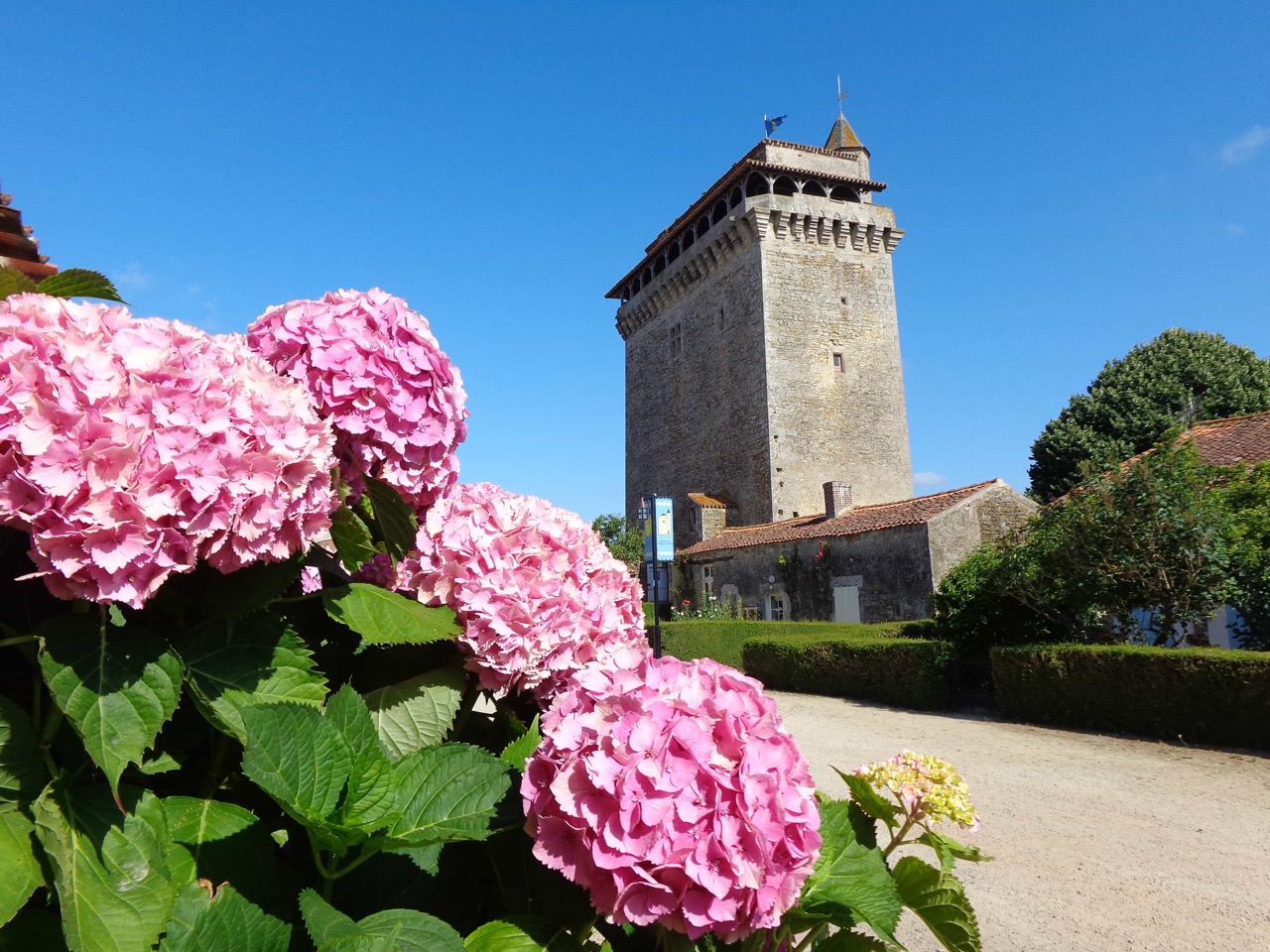 Donjon-3-©Commune-de-Bazoges-en-Pareds
