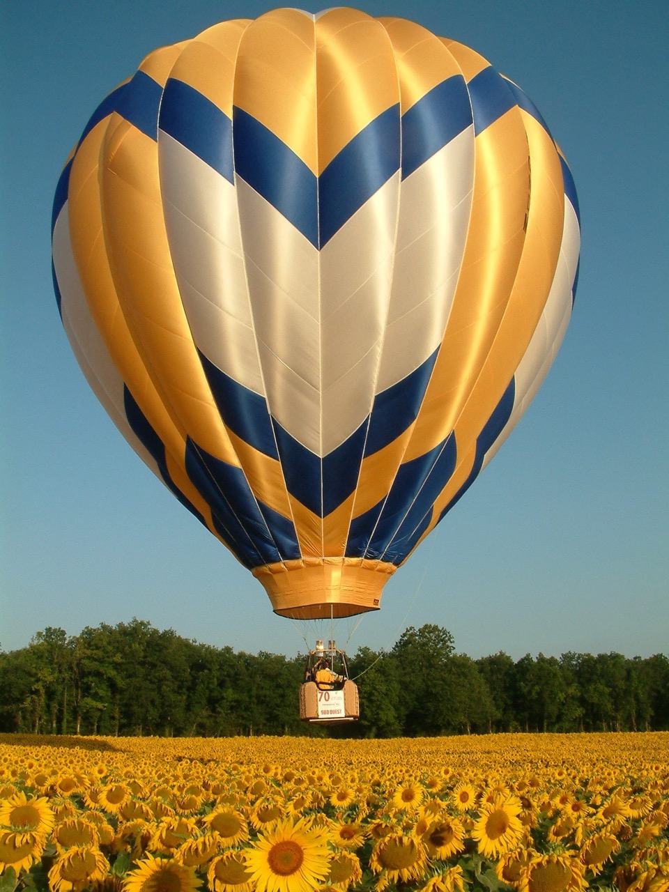 Montgolfiere_creditphotoDamienMerceron