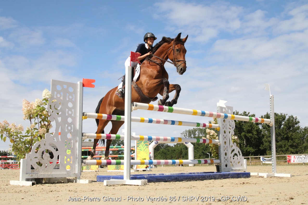 Pole_equestre_Vendeen_jumping_des_Sables-2