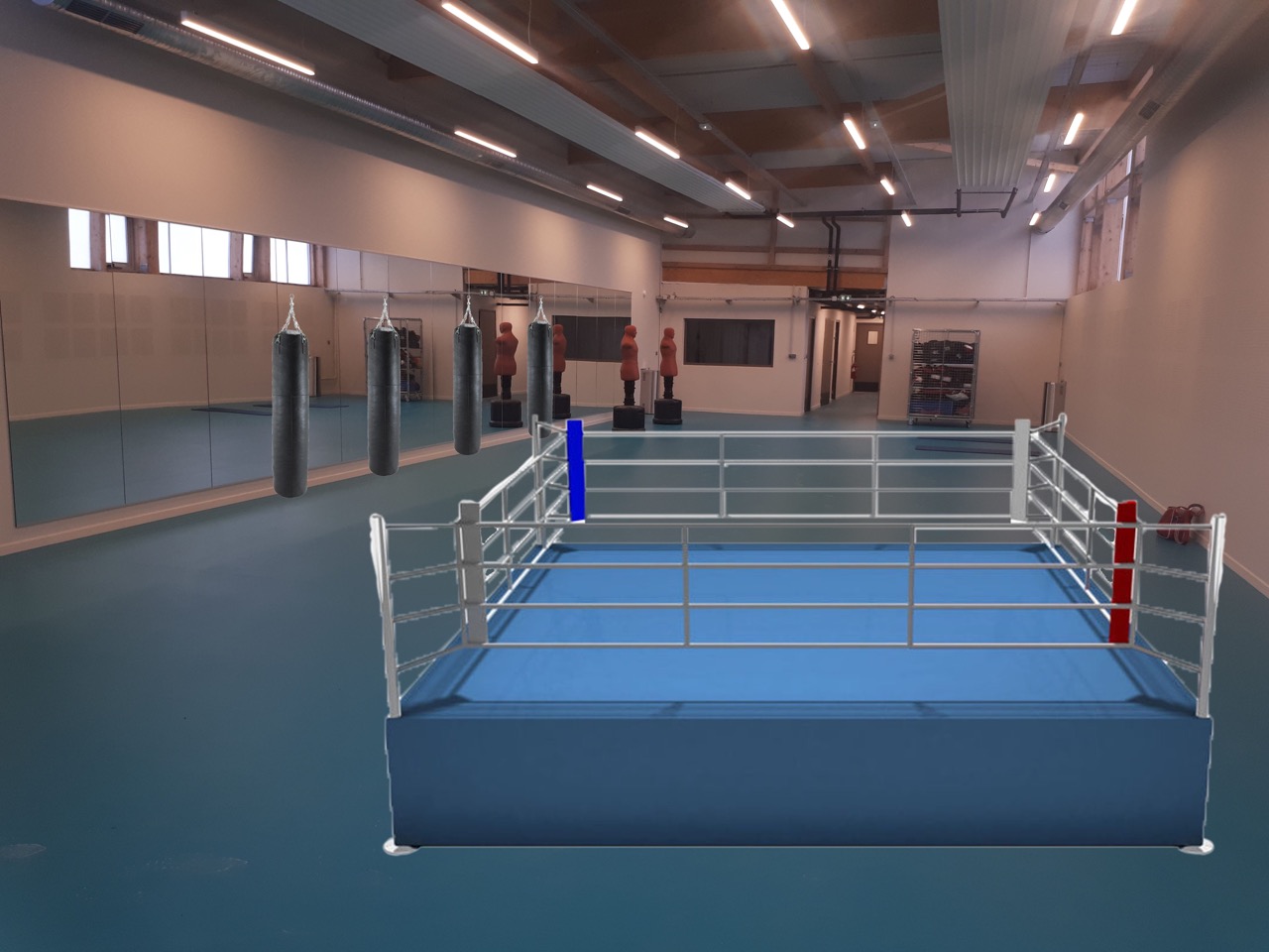 salle-de-boxe-Gymnase-Ladoumegue