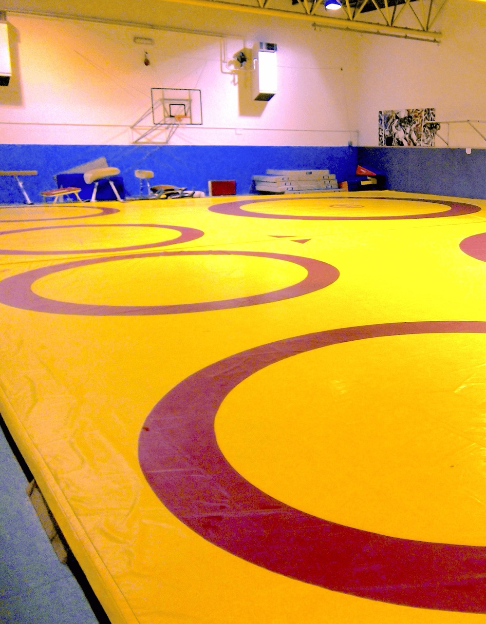 Salle-Lutte-7