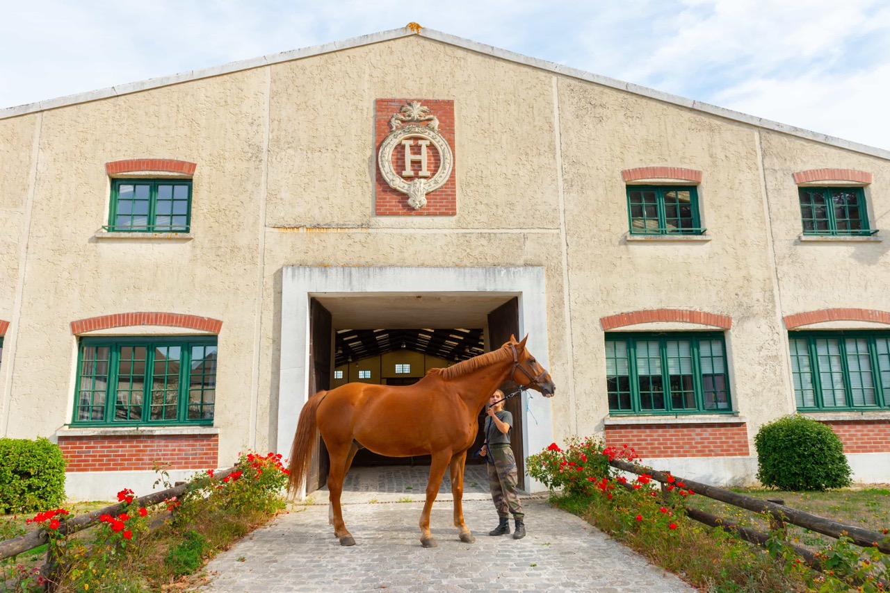 00-2018_039_Les-Breviaires_Haras-National_X.Renoux