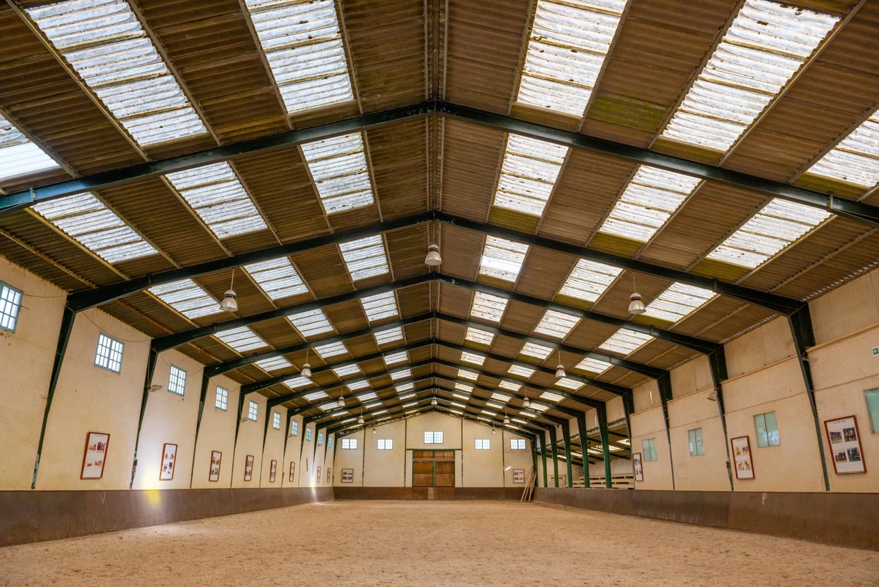 02-2018_032_Les-Breviaires_Haras-National_X.Renoux