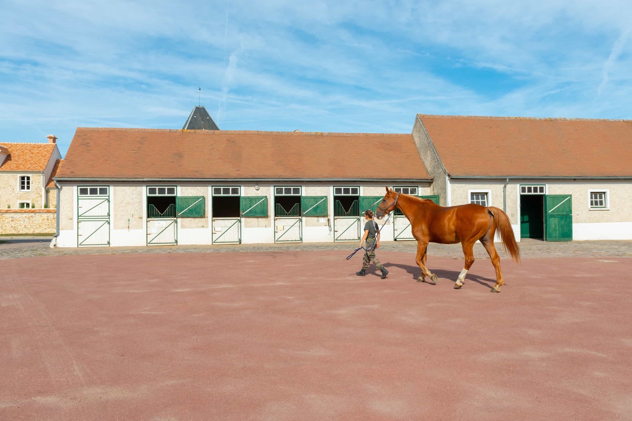 03-2018_036_Les-Breviaires_Haras-National_X.Renoux