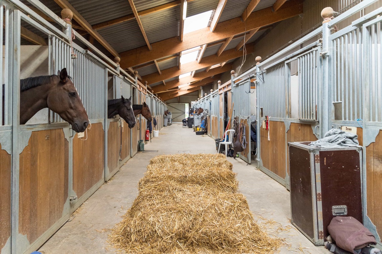 12-Macon_Centre-Equestre-de-Macon-Chaintre_ecurie