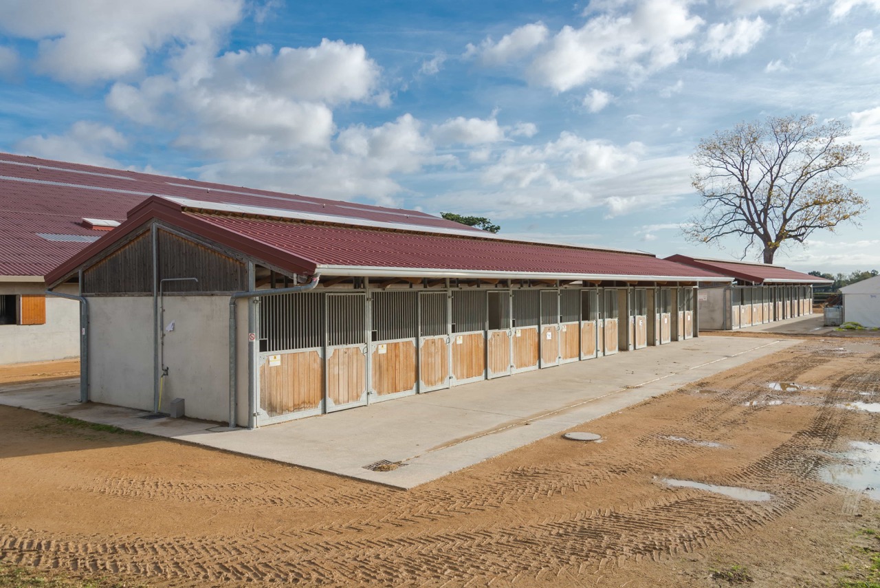 13-Macon_Centre-Equestre-de-Macon-Chaintre_boxes-exterieurs