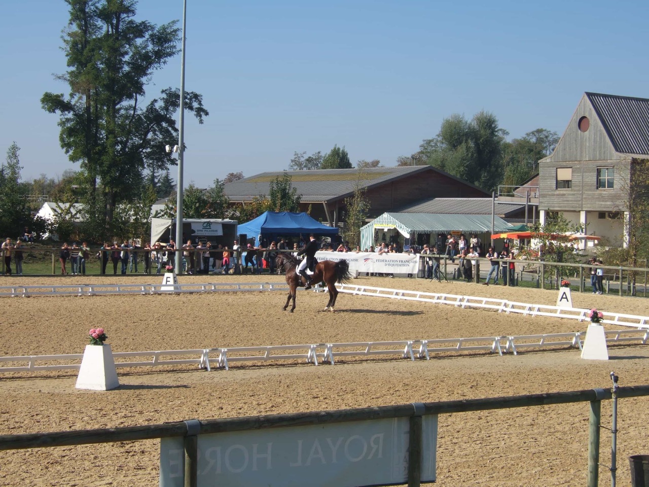 concours_equestre