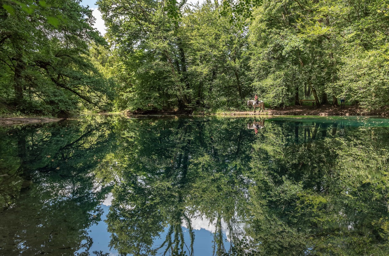 Copyright-Marion-Foehn