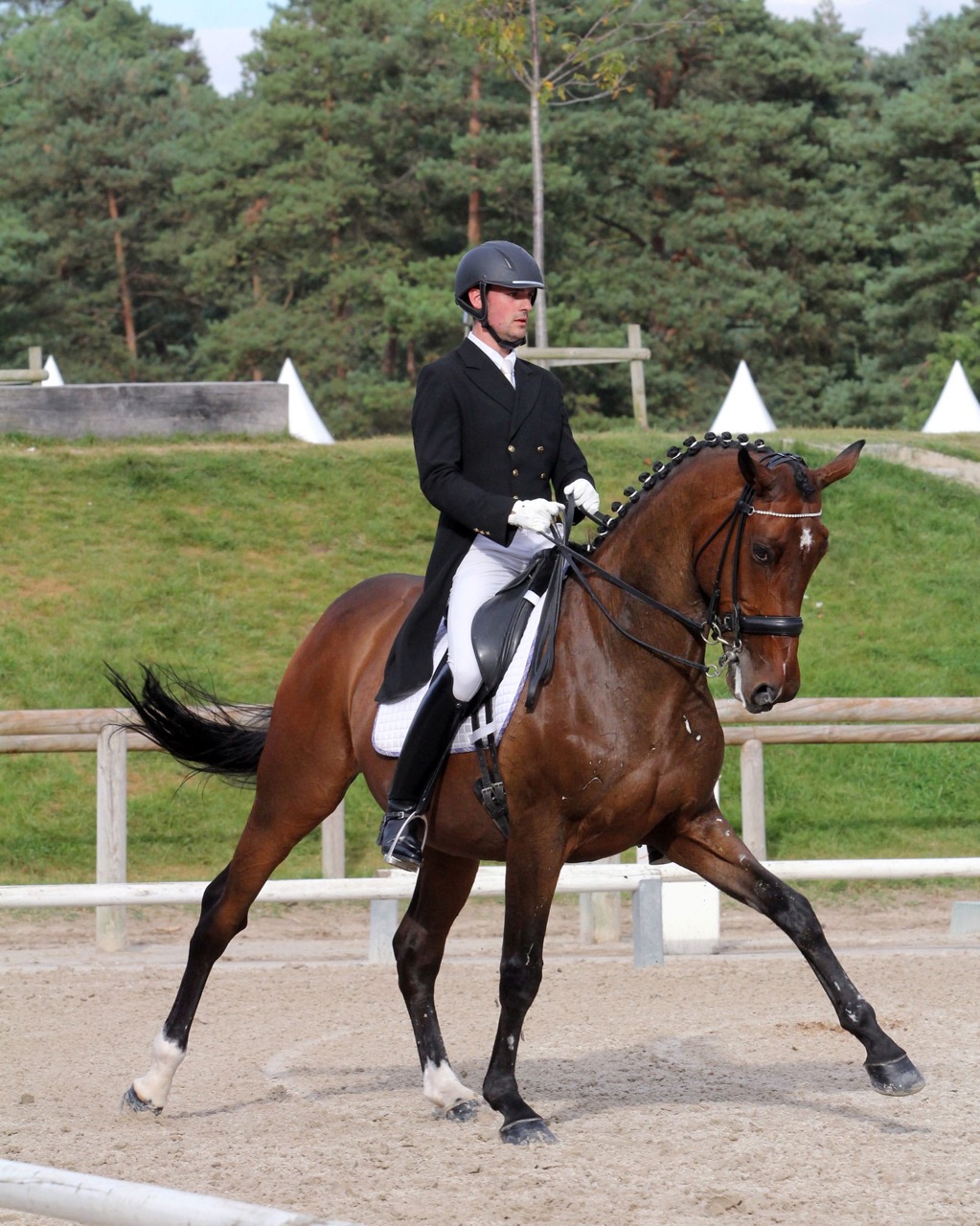 Grand-Parquet-Spring-garden-dressage