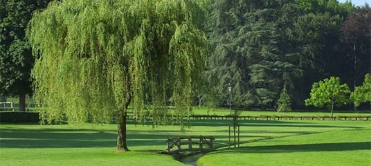Parc-Uriage