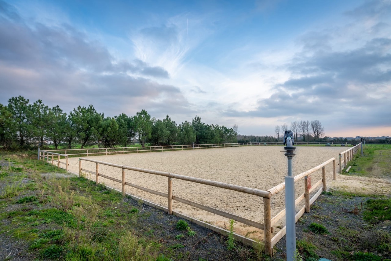 petit-manege