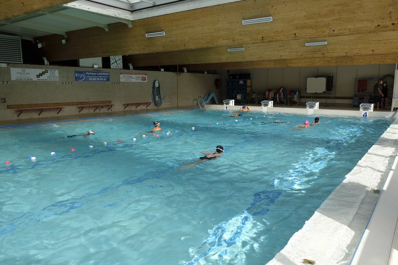 Piscine-Canetons-1