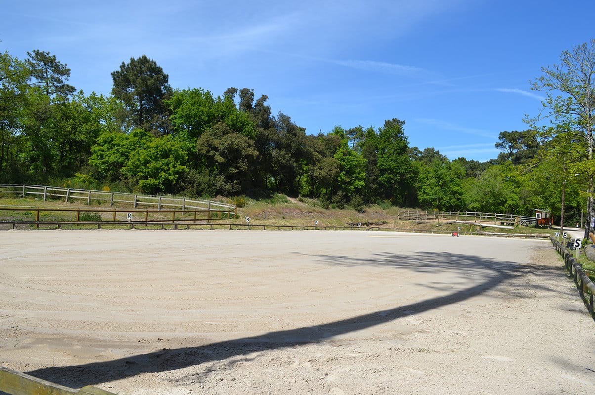carriere-dressage