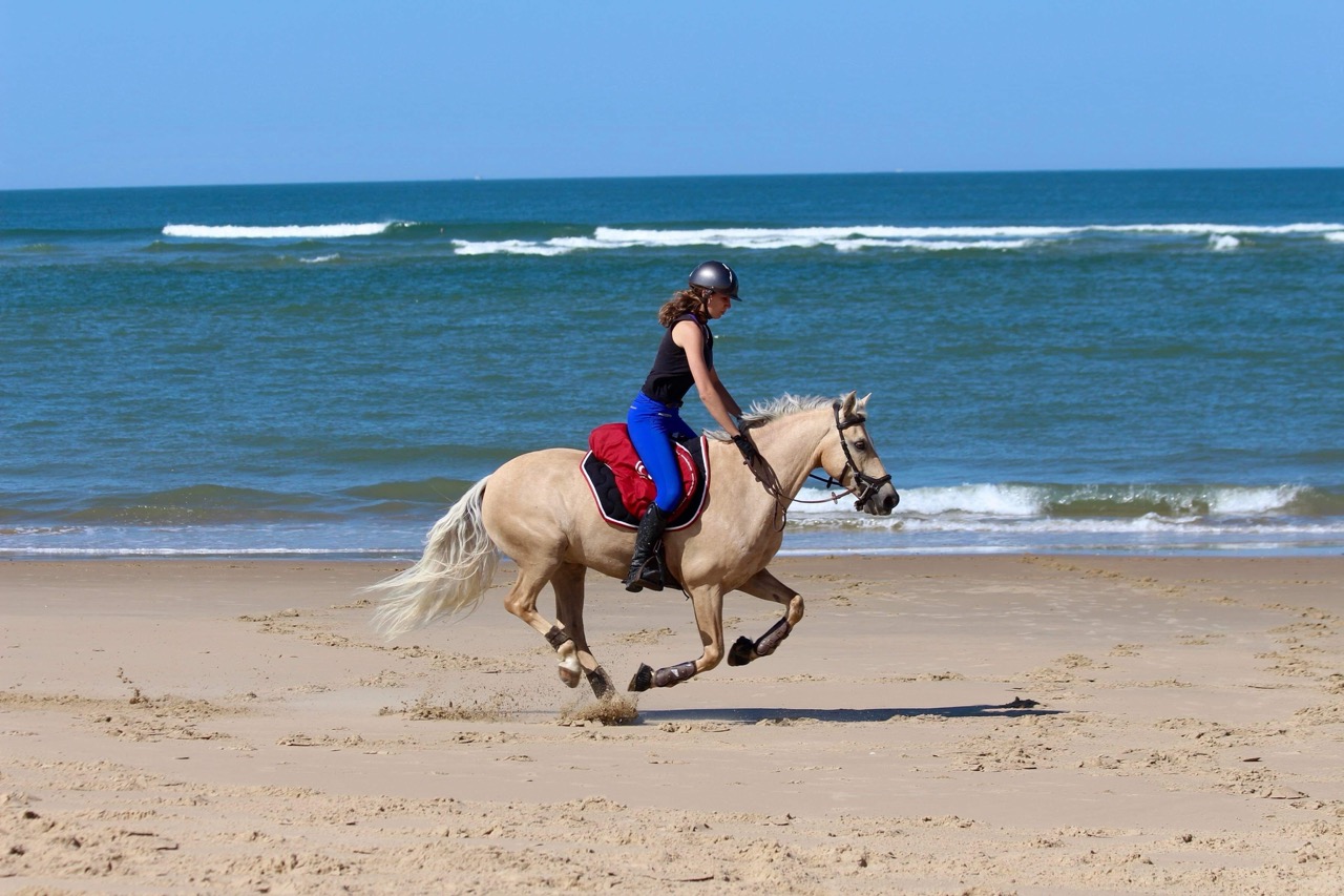 plage