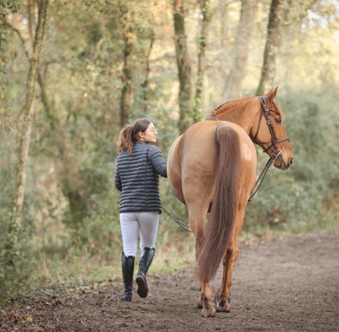 SENTIER-FORET